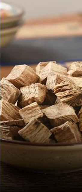 云南普洱 葛根